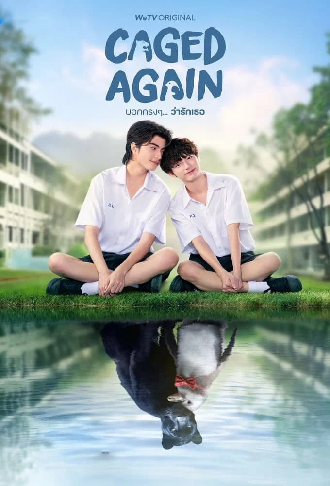 Dũng Cảm Nói Yêu Người - Caged Again