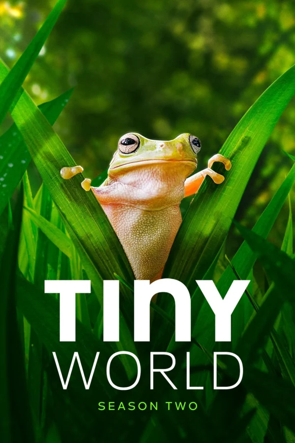 Thế Giới Siêu Nhỏ (Phần 2) - Tiny World (Season 2) (2021) Thế Giới Siêu Nhỏ (Phần 2) - Tiny World (Season 2) (2021)